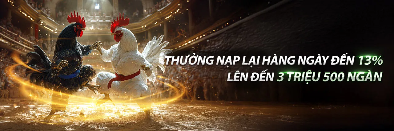Sân đấu đá gà trực tuyến cado888 win
